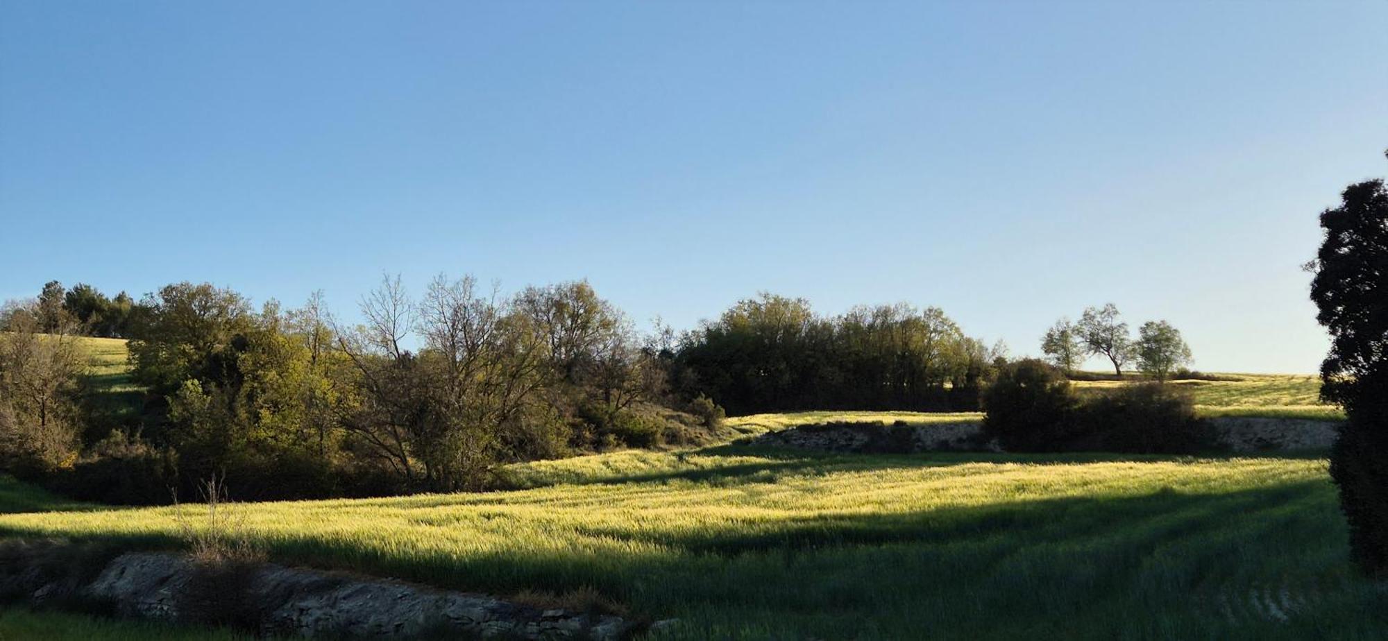 Can Gasol Turisme Rural Guialmons Exterior photo